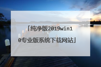 纯净版2019win10专业版系统下载网站