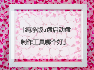 纯净版u盘启动盘制作工具哪个好