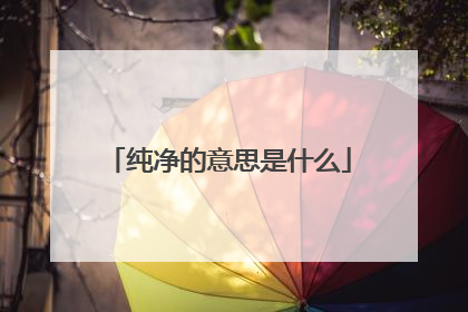 纯净的意思是什么