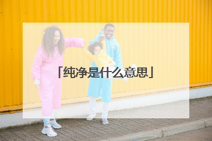 纯净是什么意思