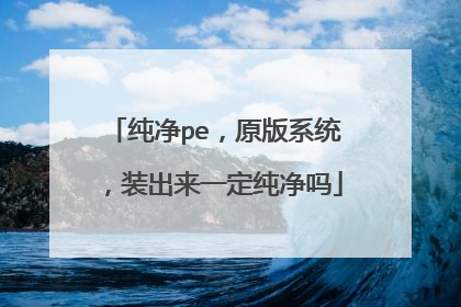 纯净pe，原版系统，装出来一定纯净吗