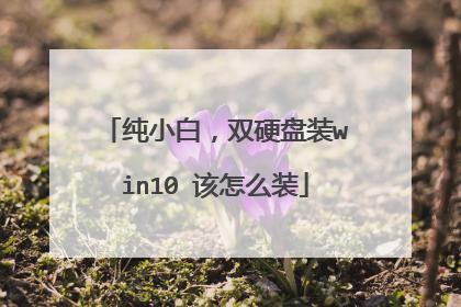纯小白,双硬盘装win10 该怎么装