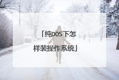 纯DOS下怎样装操作系统