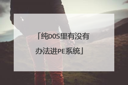 纯DOS里有没有办法进PE系统