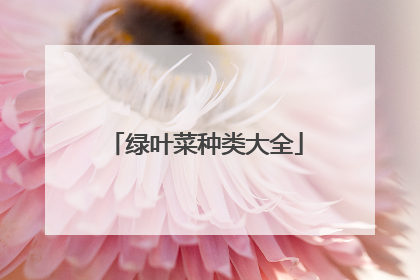 绿叶菜种类大全