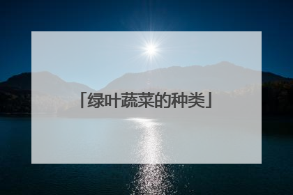 绿叶蔬菜的种类