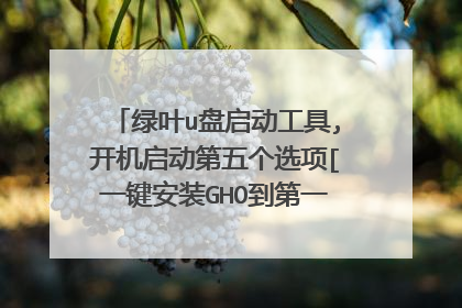 绿叶u盘启动工具,开机启动第五个选项[一键安装GHO到第一区]怎么用？