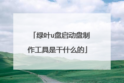 绿叶u盘启动盘制作工具是干什么的