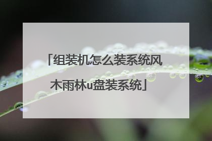 组装机怎么装系统风木雨林u盘装系统