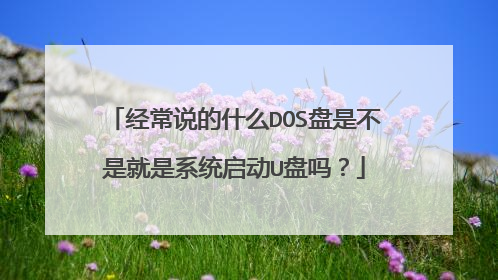 经常说的什么DOS盘是不是就是系统启动U盘吗？