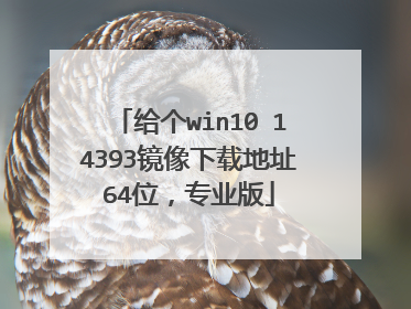给个win10 14393镜像下载地址64位,专业版