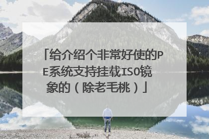 给介绍个非常好使的PE系统支持挂载ISO镜象的（除老毛桃）
