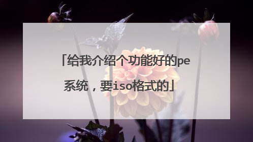 给我介绍个功能好的pe系统，要iso格式的