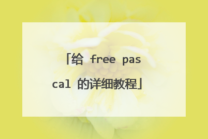 给 free pascal 的详细教程