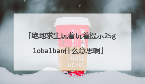 绝地求生玩着玩着提示25globalban什么意思啊