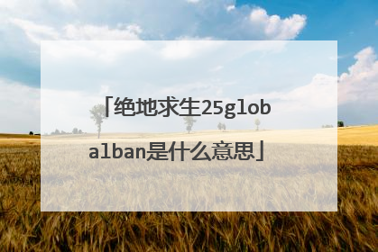 绝地求生25globalban是什么意思