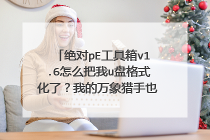 绝对pE工具箱v1.6怎么把我u盘格式化了?我的万象猎手也被格式化了!