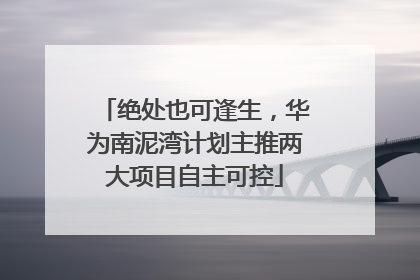 绝处也可逢生,华为南泥湾计划主推两大项目自主可控