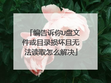 编告诉你U盘文件或目录损坏且无法读取怎么解决