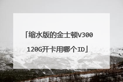 缩水版的金士顿V300 120G开卡用哪个ID
