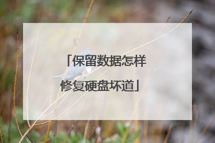 保留数据怎样修复硬盘坏道