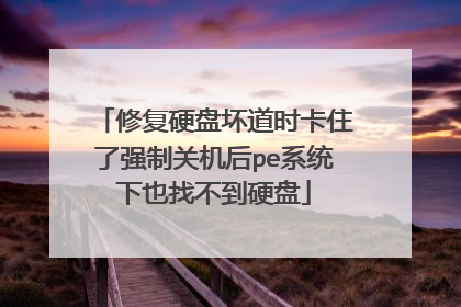 修复硬盘坏道时卡住了强制关机后pe系统下也找不到硬盘
