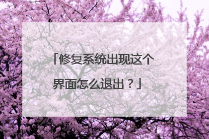 修复系统出现这个界面怎么退出？