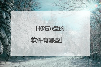 修复u盘的软件有哪些
