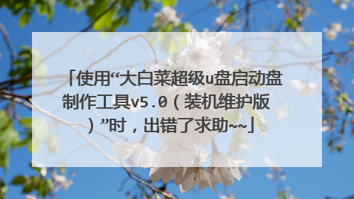 使用“大白菜超级u盘启动盘制作工具v5.0（装机维护版）”时，出错了求助~~