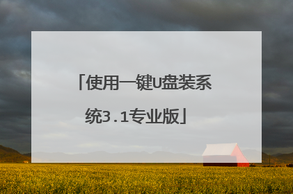 使用一键U盘装系统3.1专业版