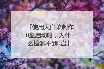 使用大白菜制作U盘启动时,为什么检测不到U盘