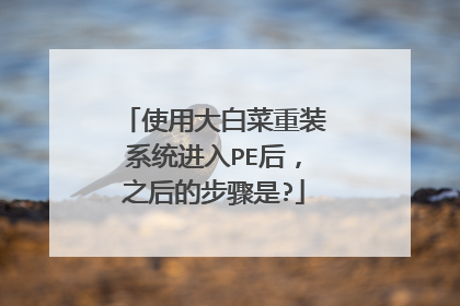 使用大白菜重装系统进入PE后,之后的步骤是?
