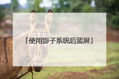 使用影子系统后蓝屏