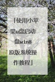 使用小苹果u盘启动盘win8原版系统操作教程