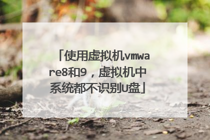 使用虚拟机vmware8和9,虚拟机中系统都不识别U盘