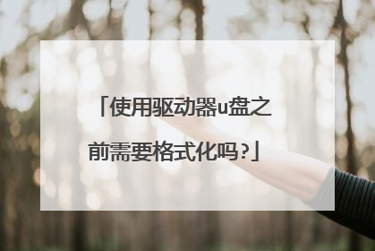 使用驱动器u盘之前需要格式化吗?