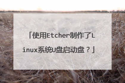 使用Etcher制作了Linux系统U盘启动盘?