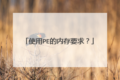 使用PE的内存要求？