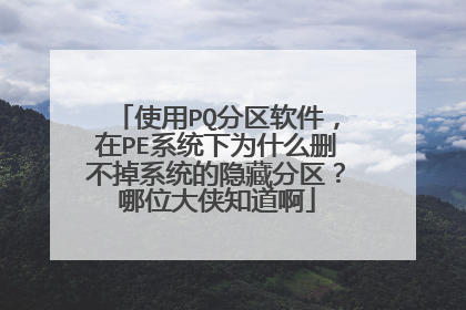 使用PQ分区软件,在PE系统下为什么删不掉系统的隐藏分区?哪位大侠知道啊