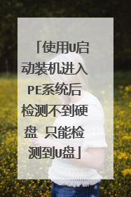 使用U启动装机进入PE系统后检测不到硬盘 只能检测到U盘