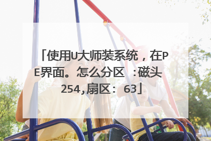 使用U大师装系统，在PE界面。怎么分区 :磁头 254,扇区: 63
