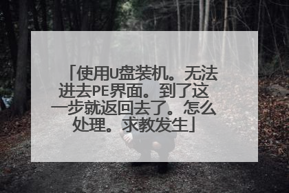 使用U盘装机。无法进去PE界面。到了这一步就返回去了。怎么处理。求教发生