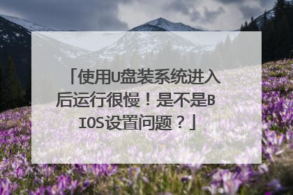 使用U盘装系统进入后运行很慢!是不是BIOS设置问题?
