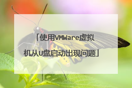 使用VMWare虚拟机从U盘启动出现问题