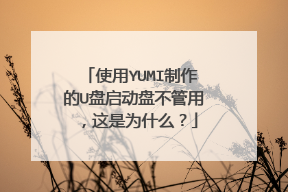 使用YUMI制作的U盘启动盘不管用,这是为什么?