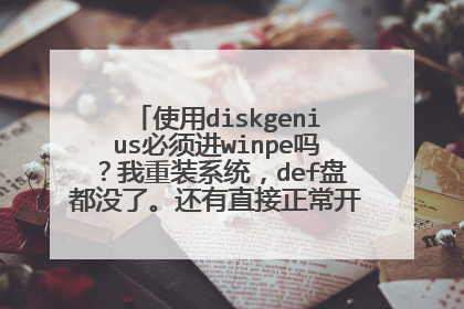 使用diskgenius必须进winpe吗?我重装系统,def盘都没了。还有直接正常开机,运行diskgenius软件可以吗?