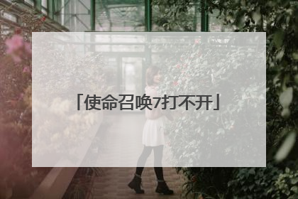 使命召唤7打不开