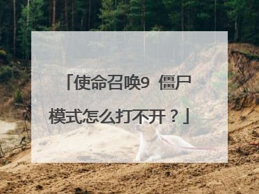 使命召唤9 僵尸模式怎么打不开?