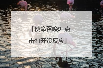 使命召唤9 点击打开没反应