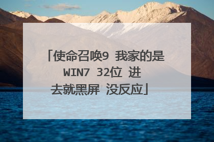 使命召唤9 我家的是 WIN7 32位 进去就黑屏 没反应